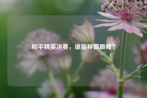 和平精英决赛,谁能称霸巅峰?
