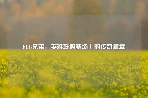 EDG兄弟,英雄联盟赛场上的传奇篇章