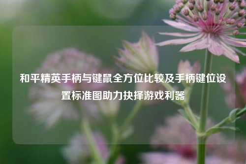 和平精英手柄与键鼠全方位比较及手柄键位设置标准图助力抉择游戏利器