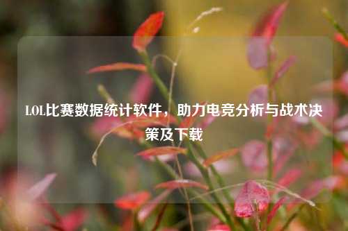 LOL比赛数据统计软件，助力电竞分析与战术决策及下载