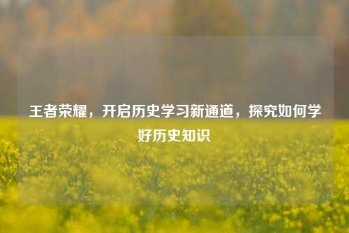 王者荣耀,开启历史学习新通道,探究如何学好历史知识