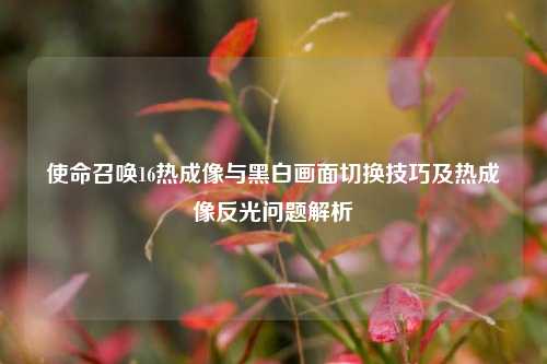 使命召唤16热成像与黑白画面切换技巧及热成像反光问题解析