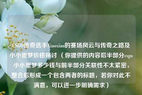 CSGO传奇选手Xiaoxiao的赛场风云与传奇之路及小小噩梦价格探讨 (你提供的内容后半部分csgo小小噩梦多少钱与前半部分关联性不太紧密,整合后形成一个包含两者的标题,若你对此不满意,可以进一步明确需求)