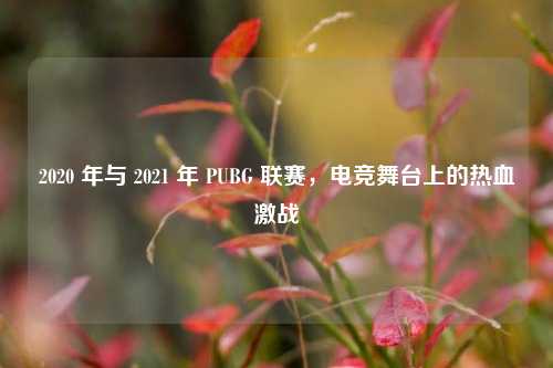 2020 年与 2021 年 PUBG 联赛,电竞舞台上的热血激战