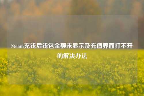 Steam充钱后钱包金额未显示及充值界面打不开的解决办法