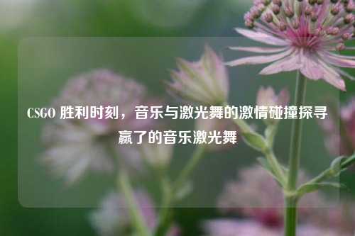 CSGO 胜利时刻,音乐与激光舞的激情碰撞探寻赢了的音乐激光舞