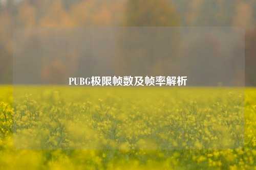 PUBG极限帧数及帧率解析