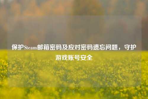 保护Steam邮箱密码及应对密码遗忘问题,守护游戏账号安全