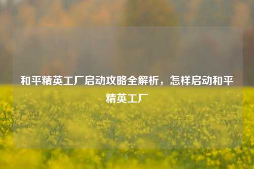 和平精英工厂启动攻略全解析，怎样启动和平精英工厂
