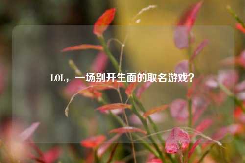 LOL，一场别开生面的取名游戏？