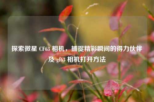 探索微星 CF63 相机，捕捉精彩瞬间的得力伙伴及 gf63 相机打开方法