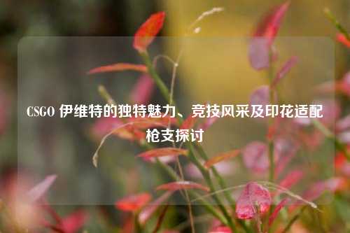 CSGO 伊维特的独特魅力、竞技风采及印花适配枪支探讨