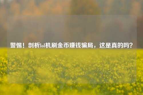 警惕！剖析lol机刷金币赚钱骗局，这是真的吗？