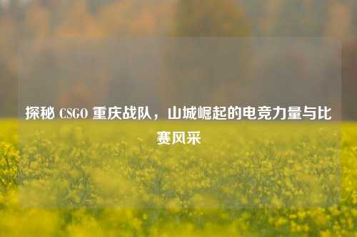 探秘 CSGO 重庆战队，山城崛起的电竞力量与比赛风采