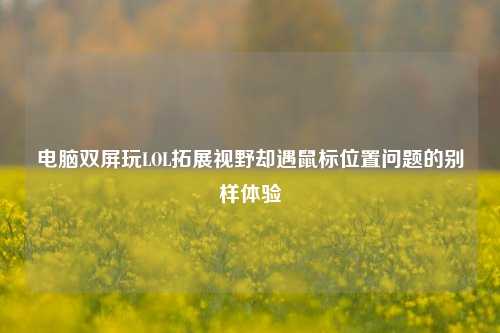 电脑双屏玩LOL拓展视野却遇鼠标位置问题的别样体验