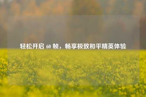 轻松开启 60 帧,畅享极致和平精英体验