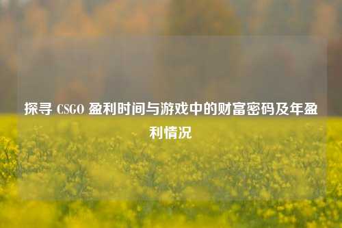 探寻 CSGO 盈利时间与游戏中的财富密码及年盈利情况