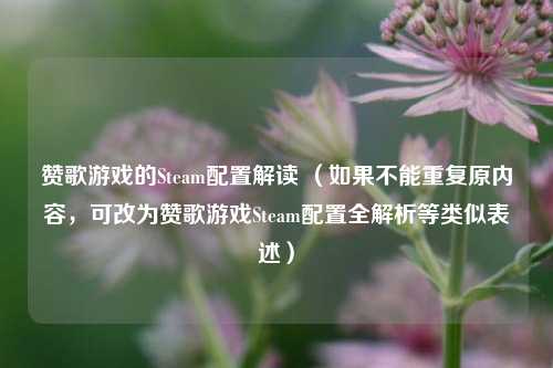赞歌游戏的Steam配置解读 （如果不能重复原内容，可改为赞歌游戏Steam配置全解析等类似表述）