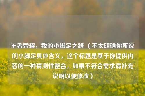 王者荣耀,我的小脚足之路 (不太明确你所说的小脚足具体含义,这个标题是基于你提供内容的一种猜测性整合,如果不符合需求请补充说明以便修改)