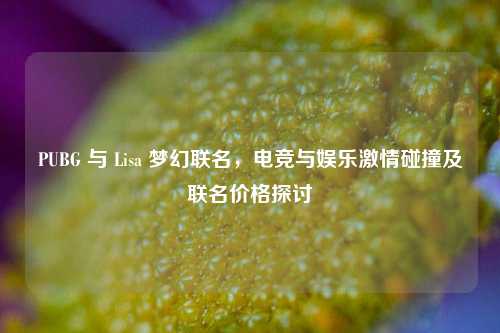 PUBG 与 Lisa 梦幻联名,电竞与娱乐激情碰撞及联名价格探讨