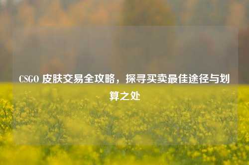 CSGO 皮肤交易全攻略,探寻买卖最佳途径与划算之处