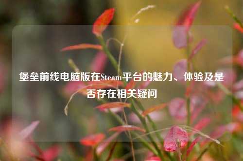 堡垒前线电脑版在Steam平台的魅力、体验及是否存在相关疑问