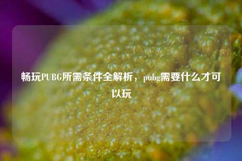 畅玩PUBG所需条件全解析,pubg需要什么才可以玩