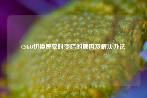 CSGO切换屏幕时变暗的原因及解决办法