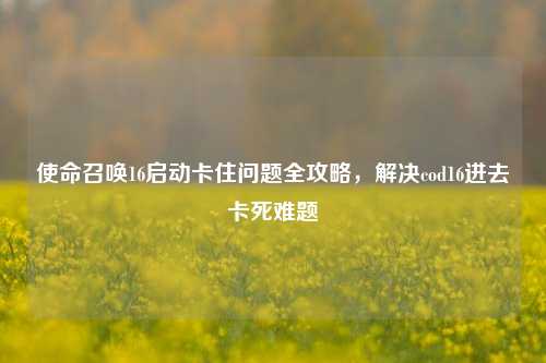 使命召唤16启动卡住问题全攻略，解决cod16进去卡死难题