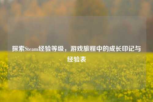 探索Steam经验等级,游戏旅程中的成长印记与经验表