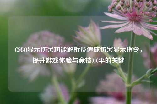 CSGO显示伤害功能解析及造成伤害显示指令,提升游戏体验与竞技水平的关键