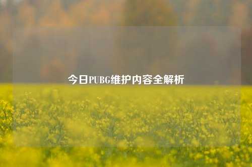 今日PUBG维护内容全解析