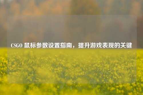CSGO 鼠标参数设置指南，提升游戏表现的关键