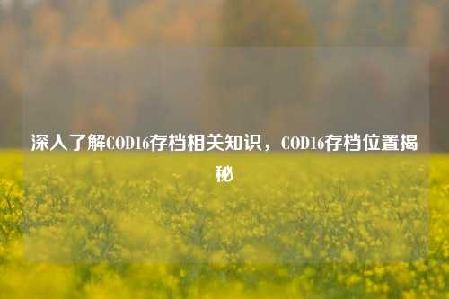 深入了解COD16存档相关知识,COD16存档位置揭秘