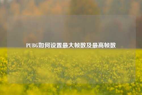 PUBG如何设置最大帧数及最高帧数