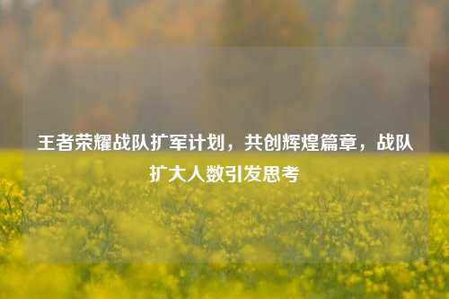 王者荣耀战队扩军计划,共创辉煌篇章,战队扩大人数引发思考