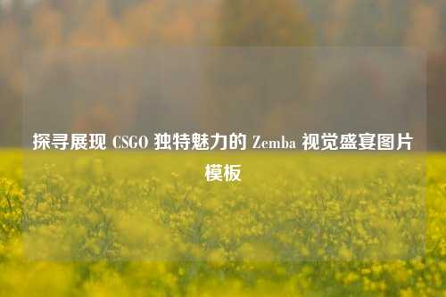探寻展现 CSGO 独特魅力的 Zemba 视觉盛宴图片模板