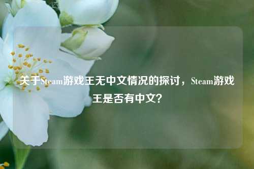 关于Steam游戏王无中文情况的探讨,Steam游戏王是否有中文?