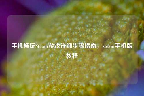 手机畅玩Steam游戏详细步骤指南，steam手机版教程