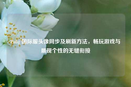 Pubg 国际服头像同步及刷新方法,畅玩游戏与展现个性的无缝衔接
