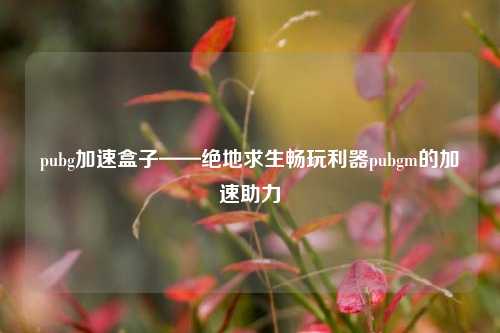 pubg加速盒子——绝地求生畅玩利器pubgm的加速助力