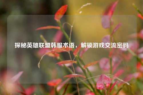 探秘英雄联盟韩服术语，解锁游戏交流密码
