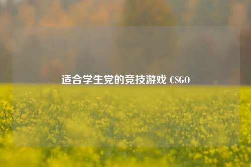 适合学生党的竞技游戏 CSGO