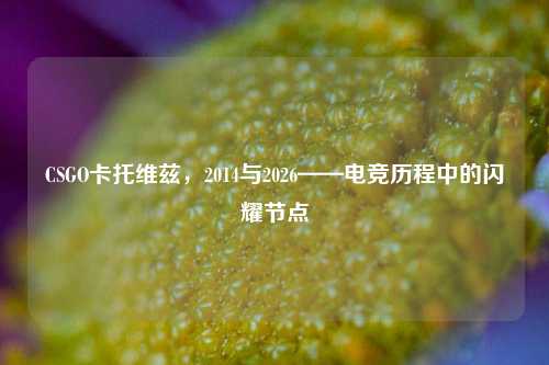 CSGO卡托维兹,2014与2026——电竞历程中的闪耀节点