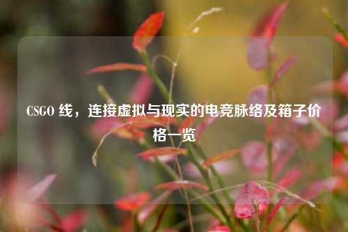 CSGO 线,连接虚拟与现实的电竞脉络及箱子价格一览
