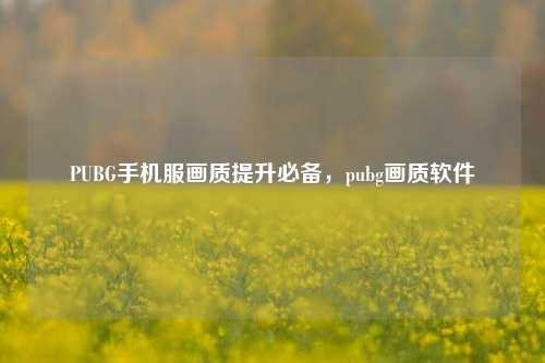 PUBG手机服画质提升必备，pubg画质软件