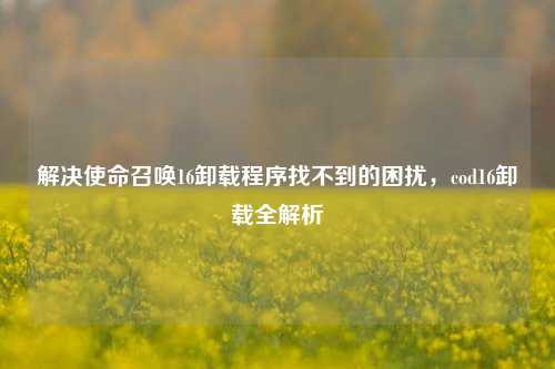 解决使命召唤16卸载程序找不到的困扰，cod16卸载全解析