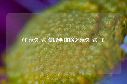 CF 永久 AK 获取全攻略之永久 AK - B