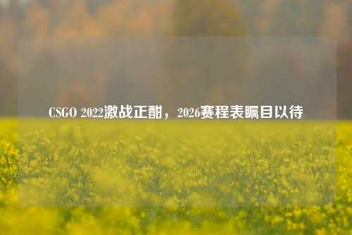 CSGO 2022激战正酣，2026赛程表瞩目以待