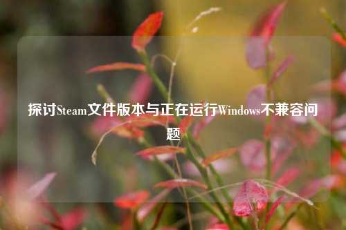 探讨Steam文件版本与正在运行Windows不兼容问题